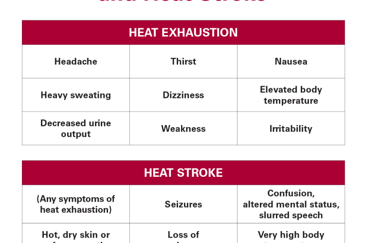 Symptoms of Heat Exhaustion