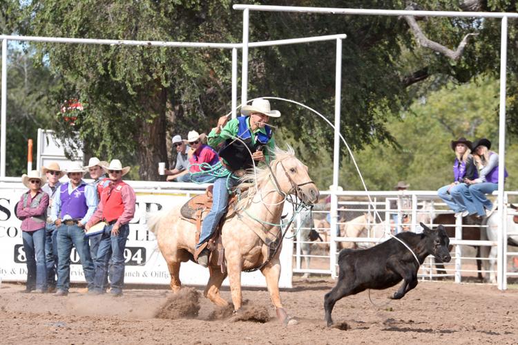 Odessa College Rider Koltin Hevalow in the FPC NIRA Rodeo calf-roping event here last fall