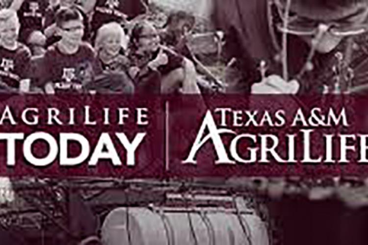 AgriLife releases publications on High Plains agriculture and health