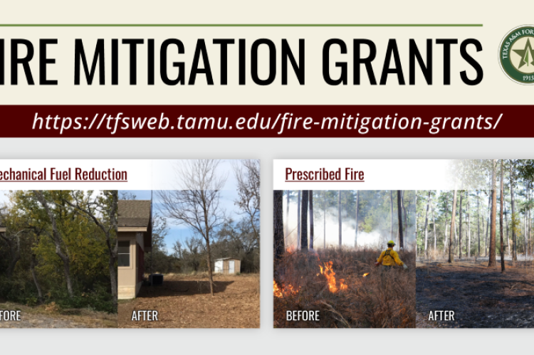 Fire Mitigation Grants