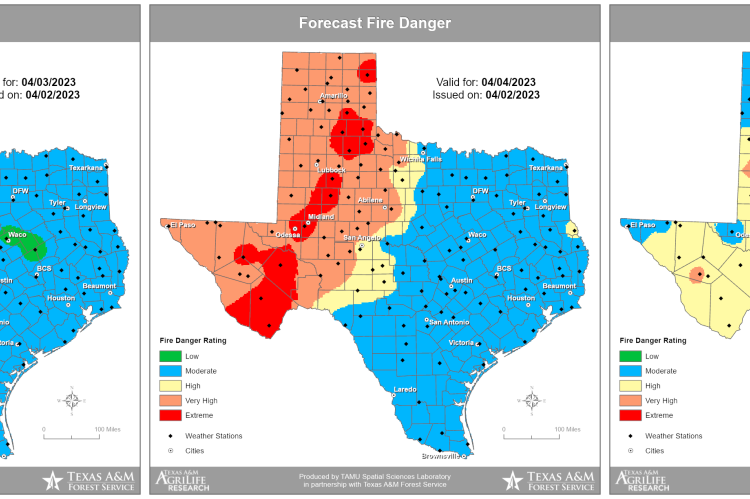 Three-Day Fire Danger Forecast