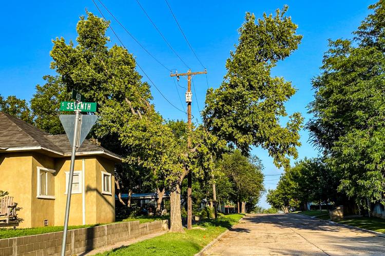AN ASPLUNDH-TRIMMED TREE AT THE CORNER OF 7TH AND ASH STREETS