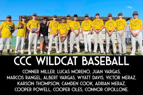 Wildcat Baseball Team