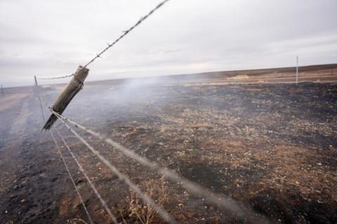 Fences, along with many other property and livestock losses, could qualify ranchers for government programs to help them in the wildfire recovery process. (Sam Craft/Texas A&M AgriLife) 