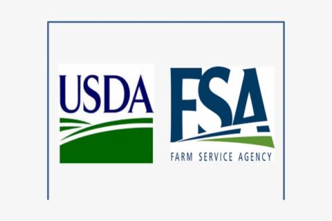 USDA/FSA PROGRAMS