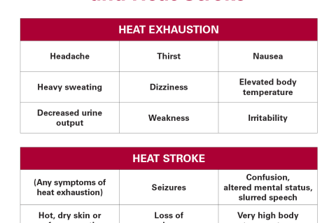 Symptoms of Heat Exhaustion