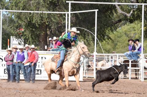 Odessa College Rider Koltin Hevalow in the FPC NIRA Rodeo calf-roping event here last fall