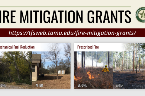 Fire Mitigation Grants