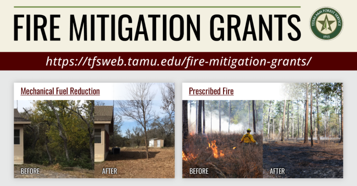 Fire Mitigation Grants